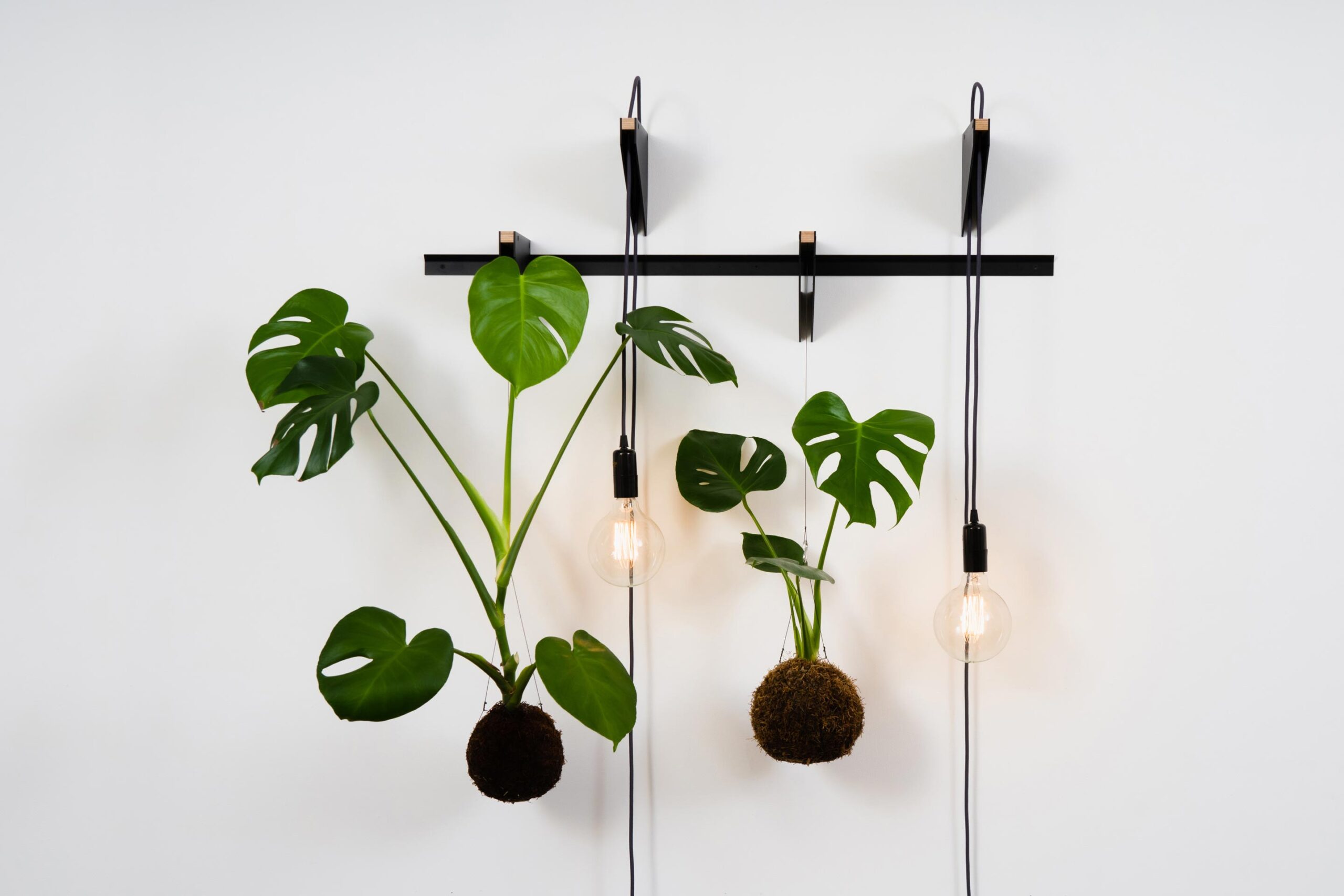 DECORATE / Setup 02