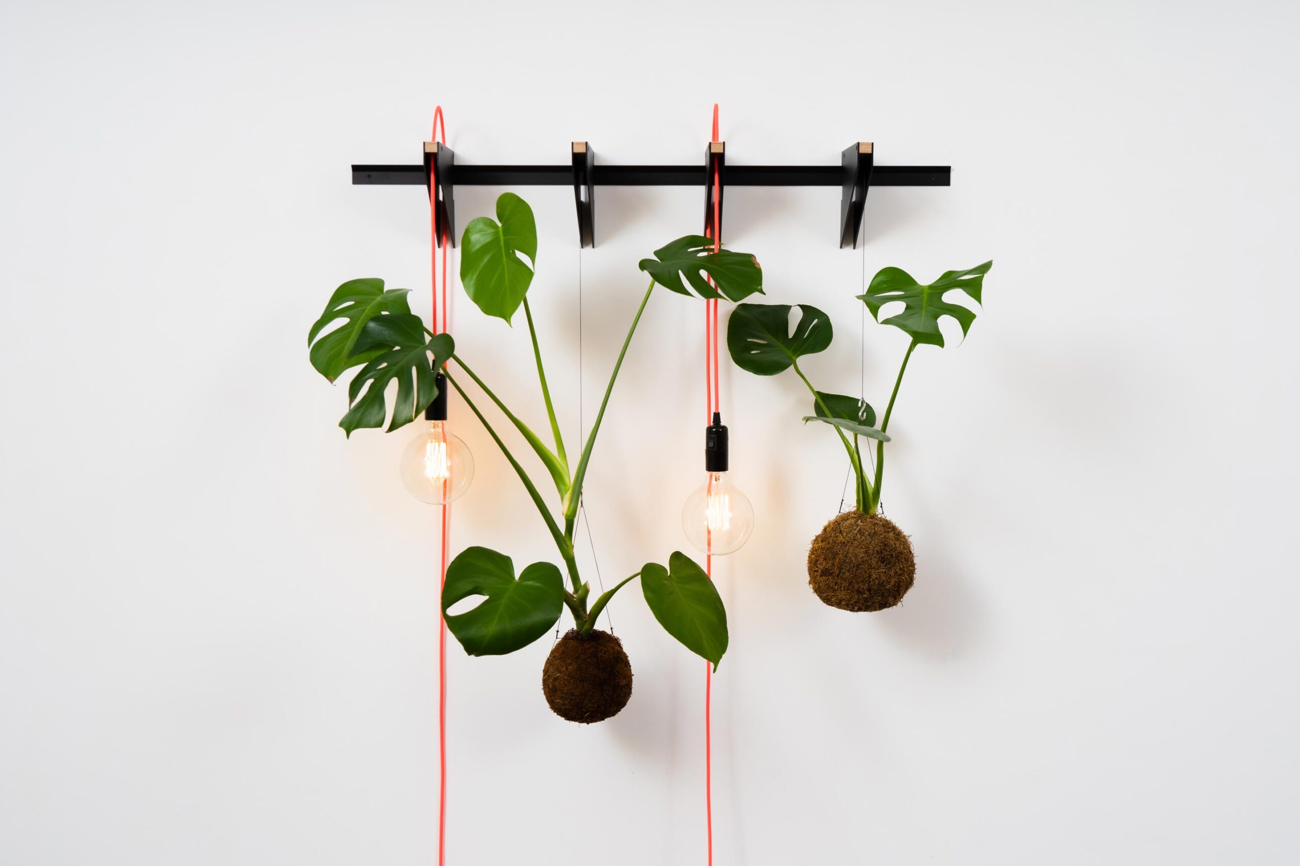 DECORATE / Setup 03