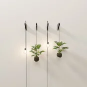 Grow / Setup 01