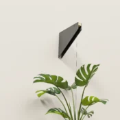Floating bracket Plant