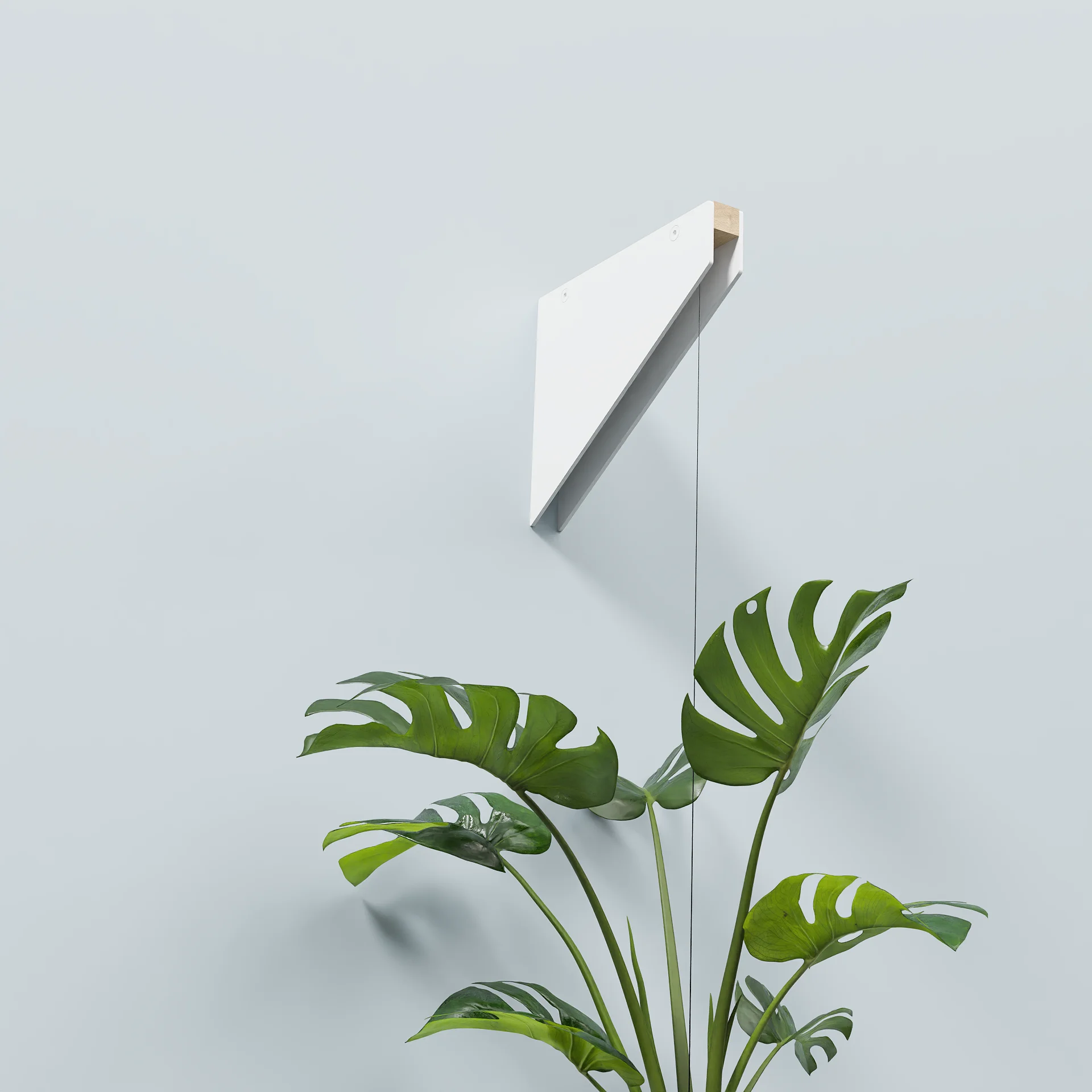 Floating bracket Plant
