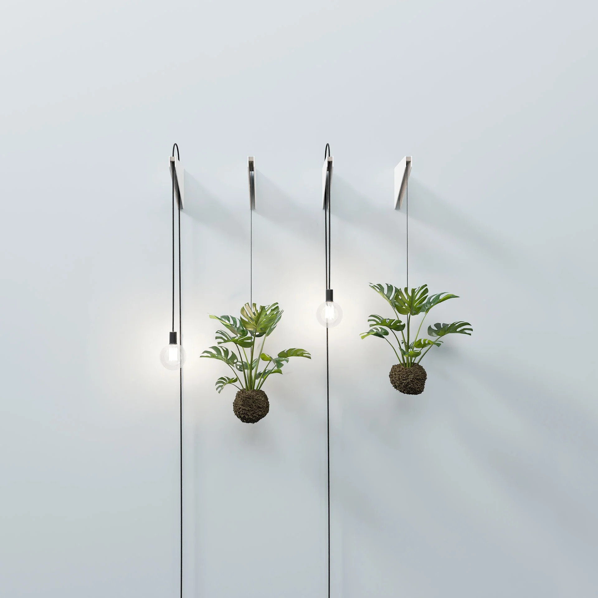 GROW / Setup 01