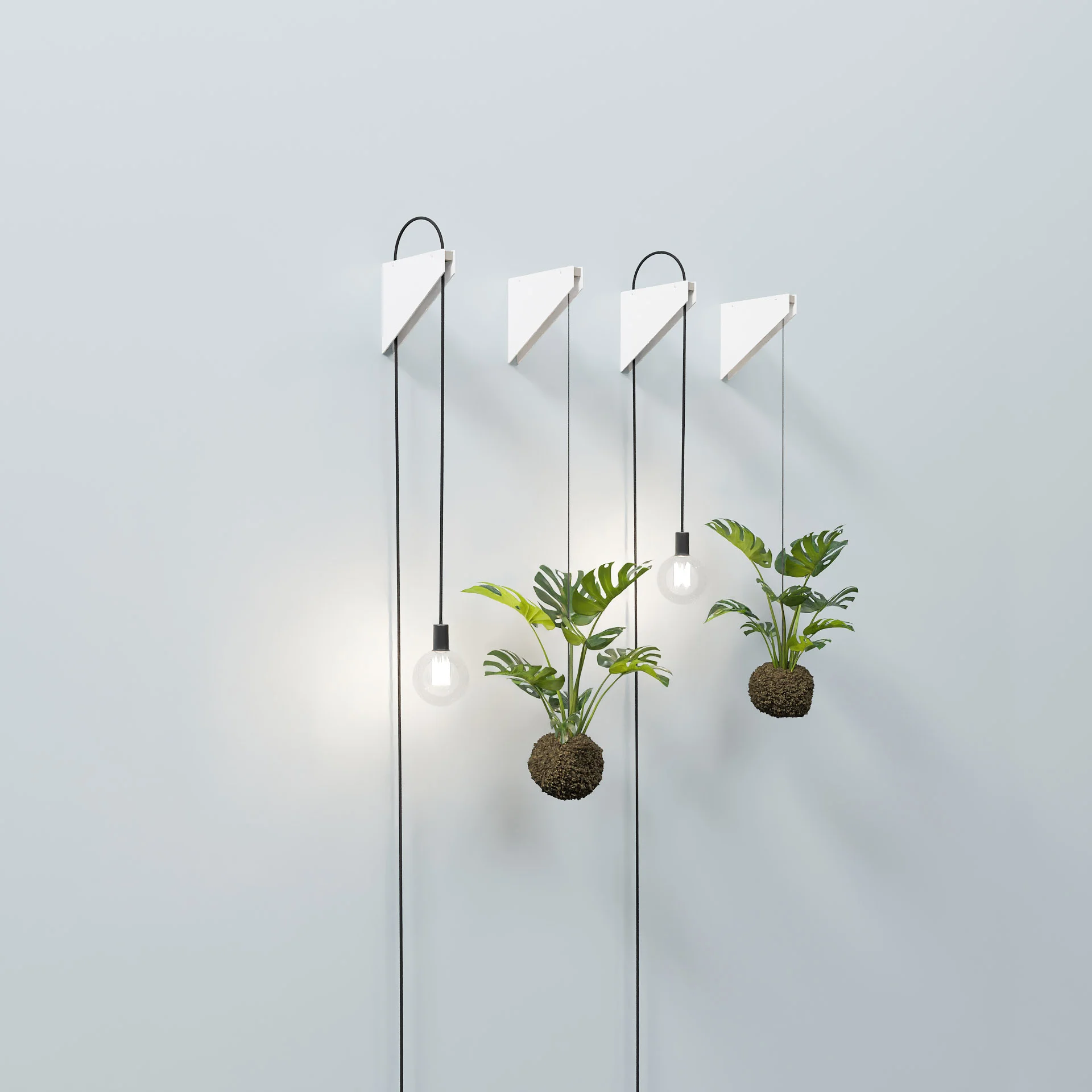 GROW / Setup 01